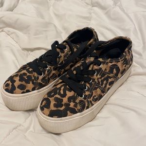 Leopard Print Platform Sneakers Steve Madden